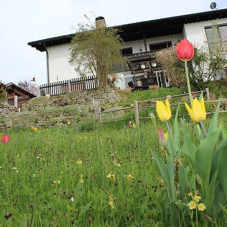 발트키르헨 Haus Koblizek 아파트 외부 사진